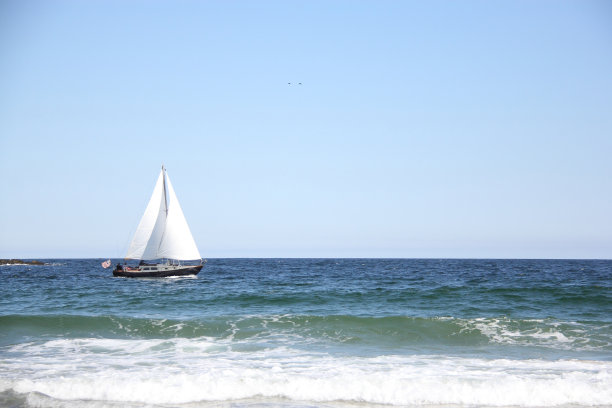 在热带航行图片下载