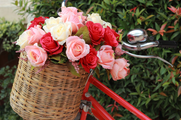美丽的玫瑰人造花在老式自行车图片下载