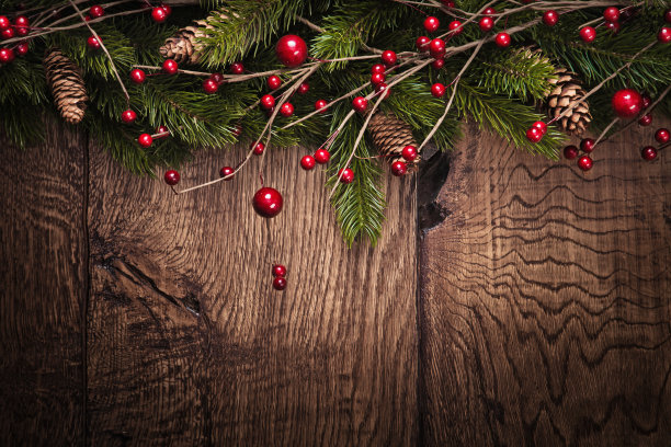 圣诞背景与冷杉树枝图片下载