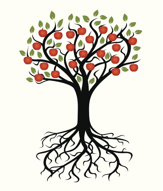 向量树和根图片下载