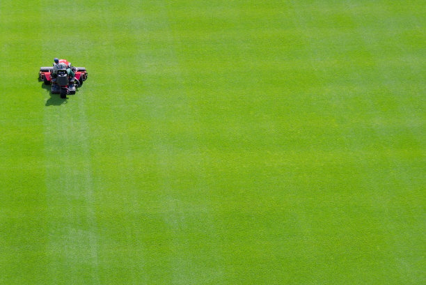 割草。图片下载