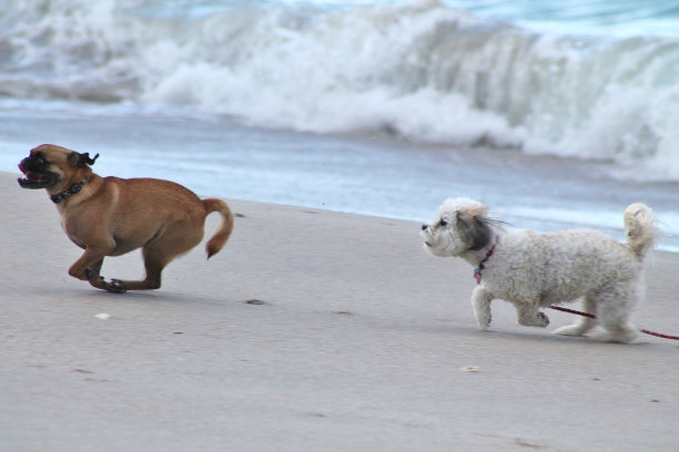 你抓不住我图片下载