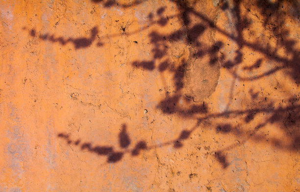 混凝土表面涂有树枝的影子素材图片