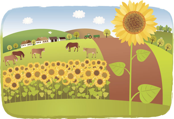 向日葵田图片下载