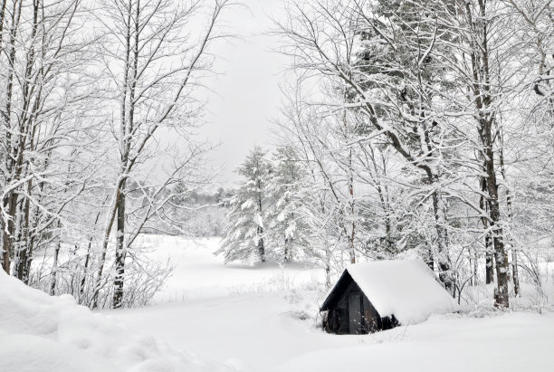 雪景中的小屋。图片下载