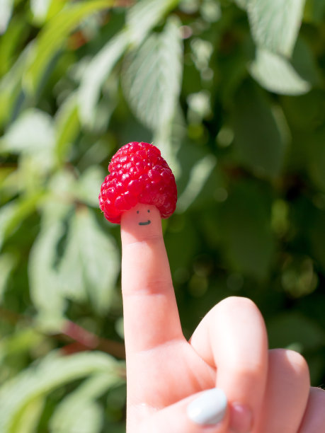 树莓手指娃娃图片下载