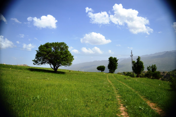 伊拉克春季田野图片下载