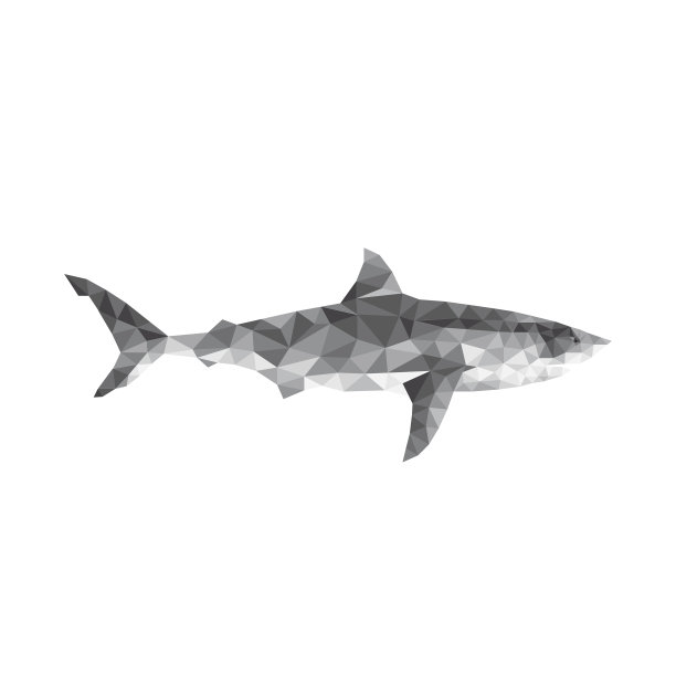 多边形几何鱼-鲨鱼图片下载