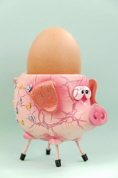 猪蛋杯图片下载