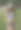 美丽的黑发女孩与乡村的外观图片下载
