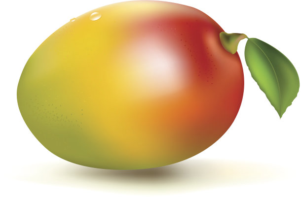 新鲜的芒果图片下载