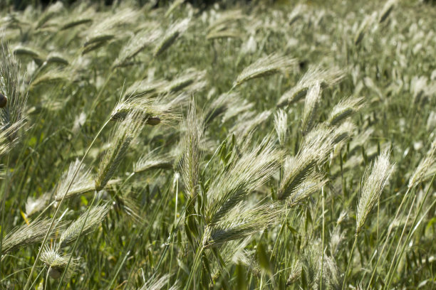 听到的财富图片下载