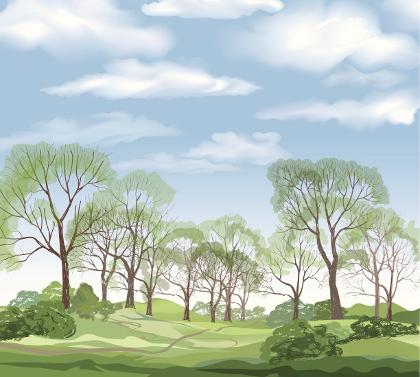 景观背景，夏季绿色森林和蓝天白云。图片下载