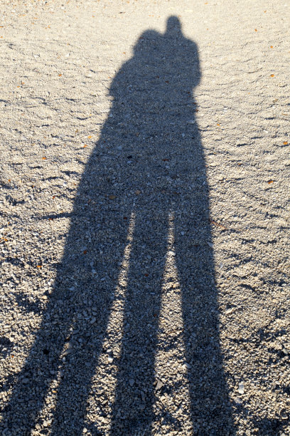 沙滩上的阴影图片下载