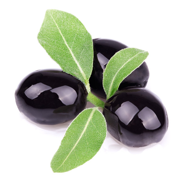 带小枝的成熟橄榄图片下载