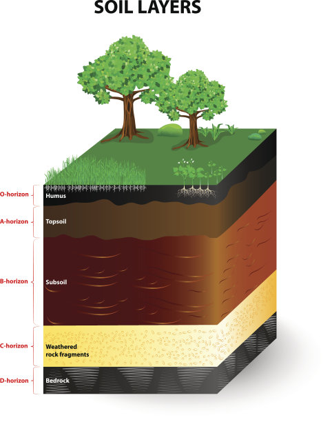 土壤剖面的层次图片下载