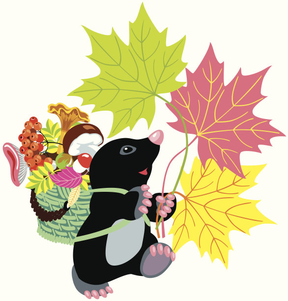 摩尔收集蘑菇图片下载