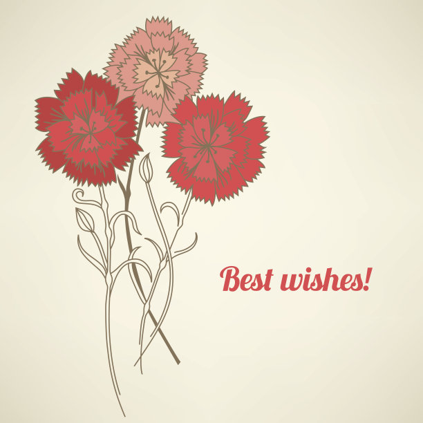 康乃馨贺卡素材图片