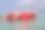 漂浮在海上图片下载