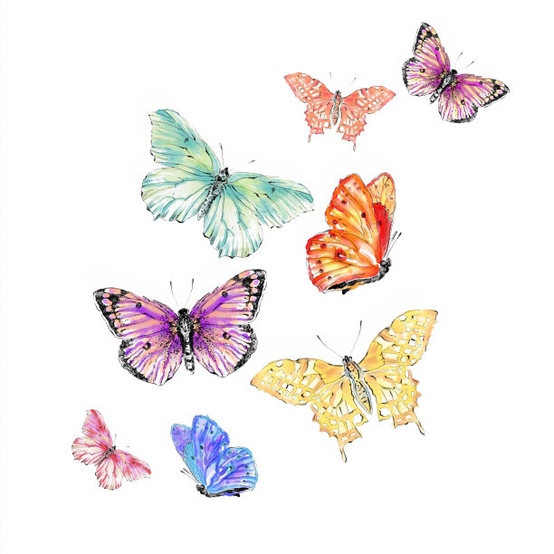 水彩彩色蝴蝶插图图片下载