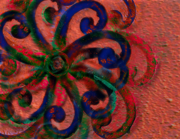 快门狗花图片下载