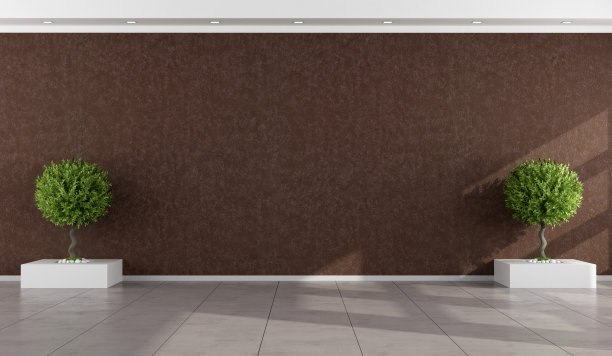 空房间，灰泥墙是棕色的图片下载