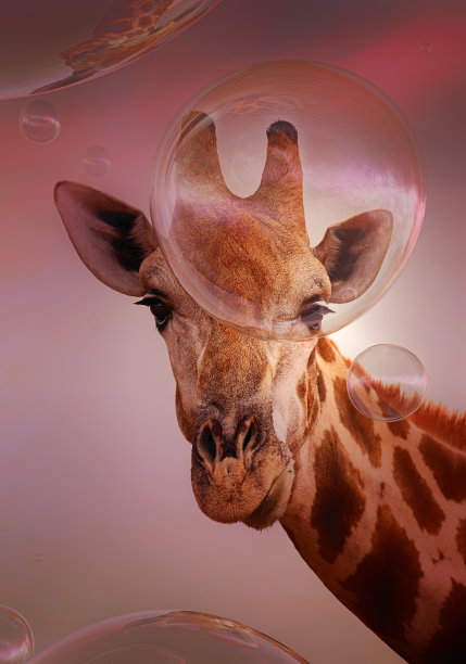 长颈鹿看着肥皂泡-艺术品图片下载