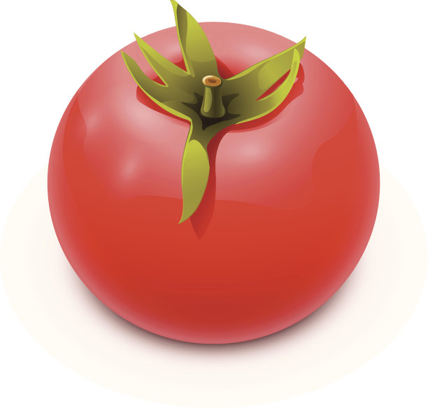 番茄全图片下载
