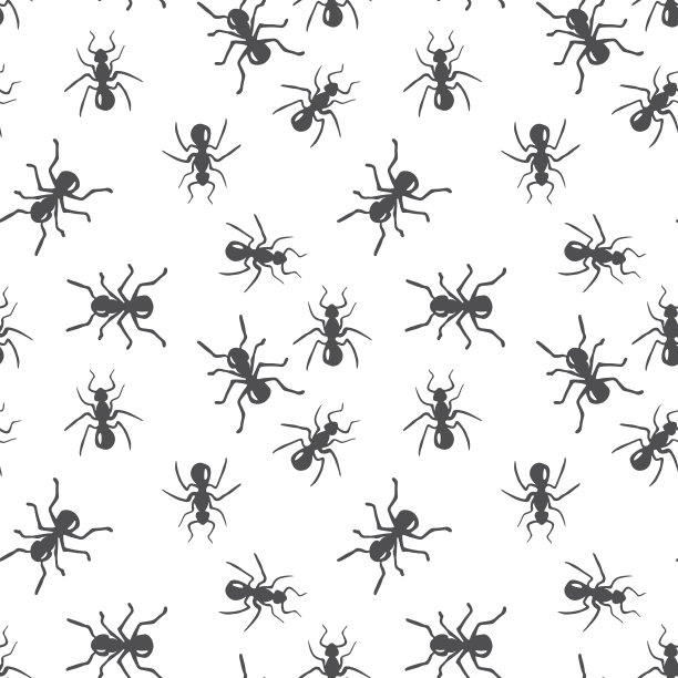 载体无缝蚁群昆虫图案图片下载