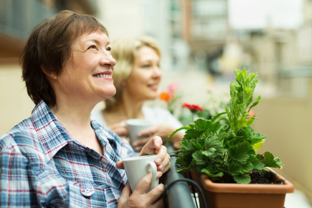 两位成熟的女性在喝茶图片下载