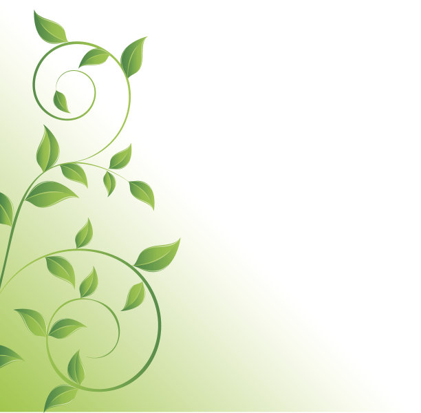 绿叶的树枝图片下载