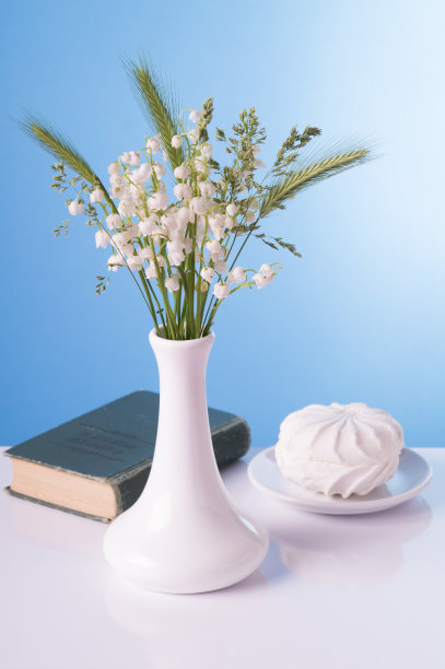 白花瓶里的百合，书和棉花糖图片下载