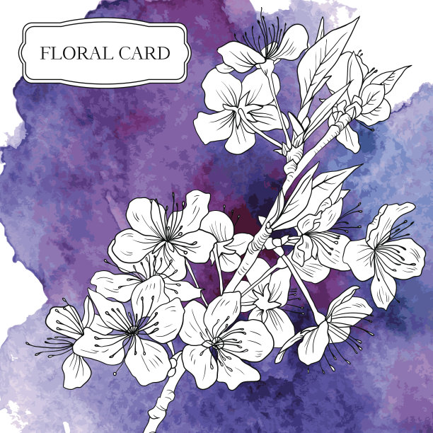 矢量水彩背景与樱花图片下载