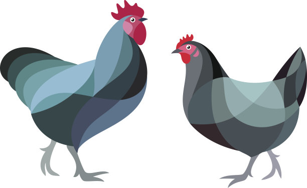 程式化的鸡素材图片