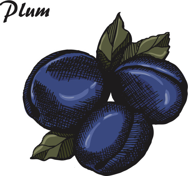 梅红色图片下载