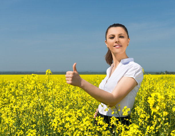 花圃里的女商人图片下载
