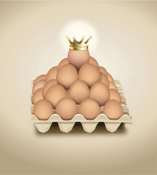 盘状鸡蛋中的鸡蛋载体图片下载