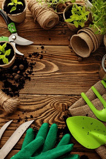 园艺工具和植物图片下载