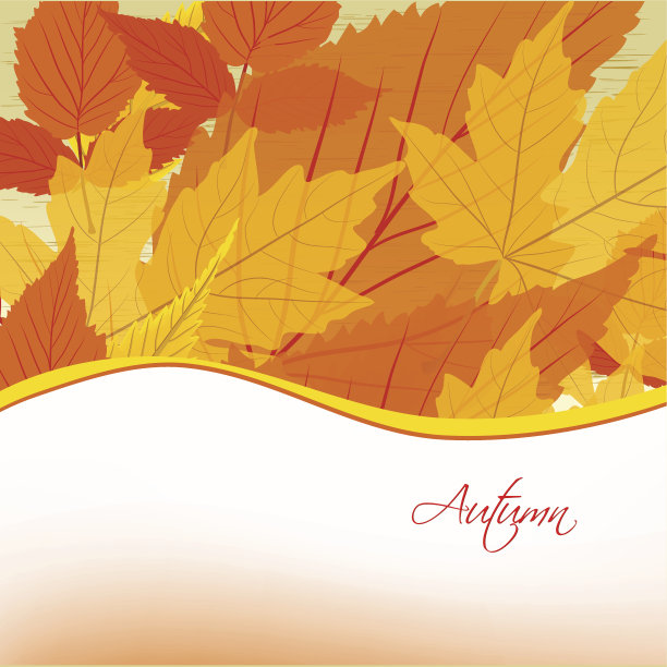 秋叶背景图片下载