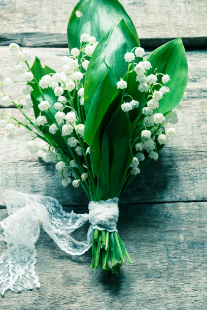 山谷百合花束/调色照片图片下载