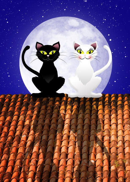 猫在屋顶上图片下载