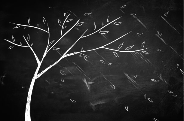 简单的树木素描装饰背景素材图片