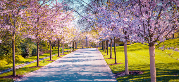 德国美丽的户外风景图片下载