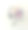 温柔复古照片温柔婚礼花束图片下载