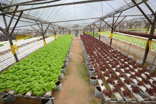 植物产业图片下载