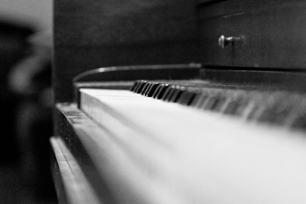 Dusty计划图片下载