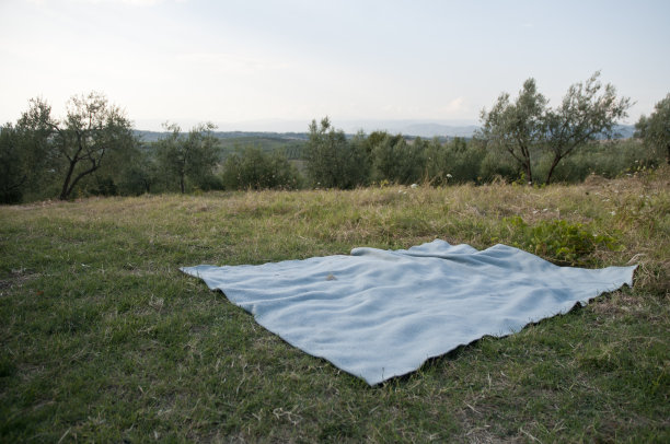空亚麻为野餐绿色风景风景达芬奇图片下载