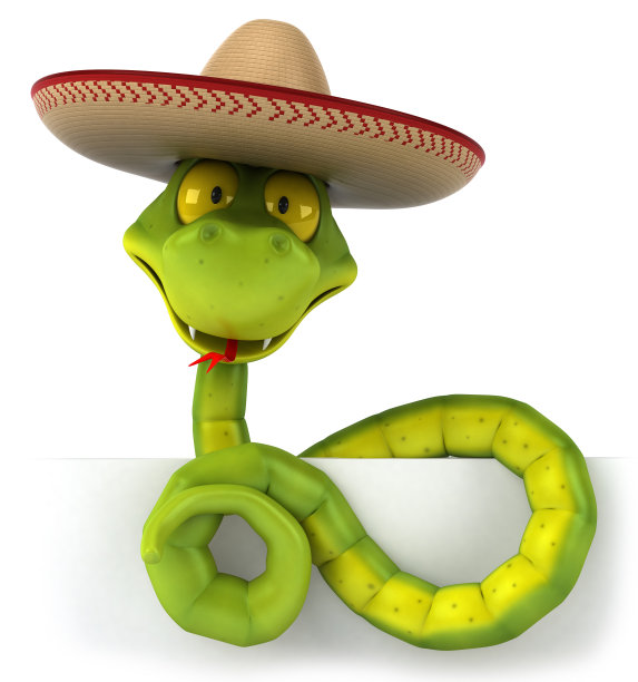 有趣的蛇图片下载