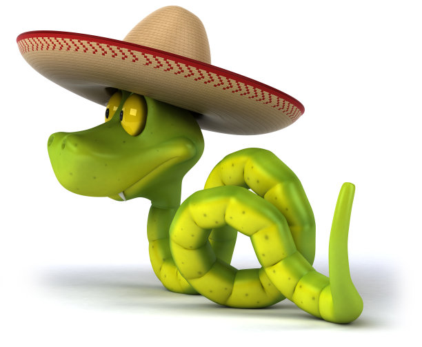 有趣的蛇图片下载