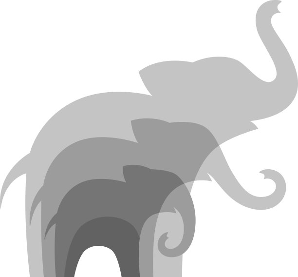 大象的家族图片下载